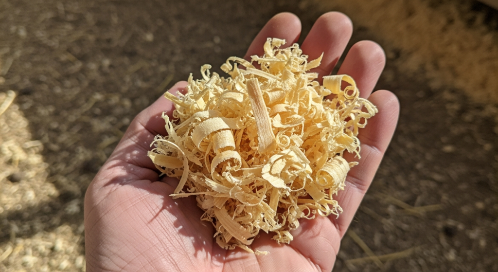 Hand holding fresh pine shavings for chicken coop.